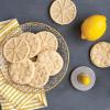 imageNordic Ware 01236 Yuletide Cast Cookie Stamps 3inch rounds SilverCitrus