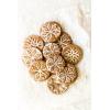 imageNordic Ware 01236 Yuletide Cast Cookie Stamps 3inch rounds SilverStarry Night