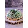 imageNordic Ware Alpine Forest Loaf Sparkling Silver 6 CupPine Forest Bundt  9 Cup