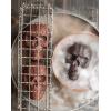 imageNordic Ware Halloween Bakeware Haunted Skull Cakelet Pan BronzeHaunted Skull Cakelet Pan