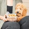 imageNordic Ware Formed Puppy Love Treat Pan with Mix 16 Cavities Twilight BlueTwilight Blue